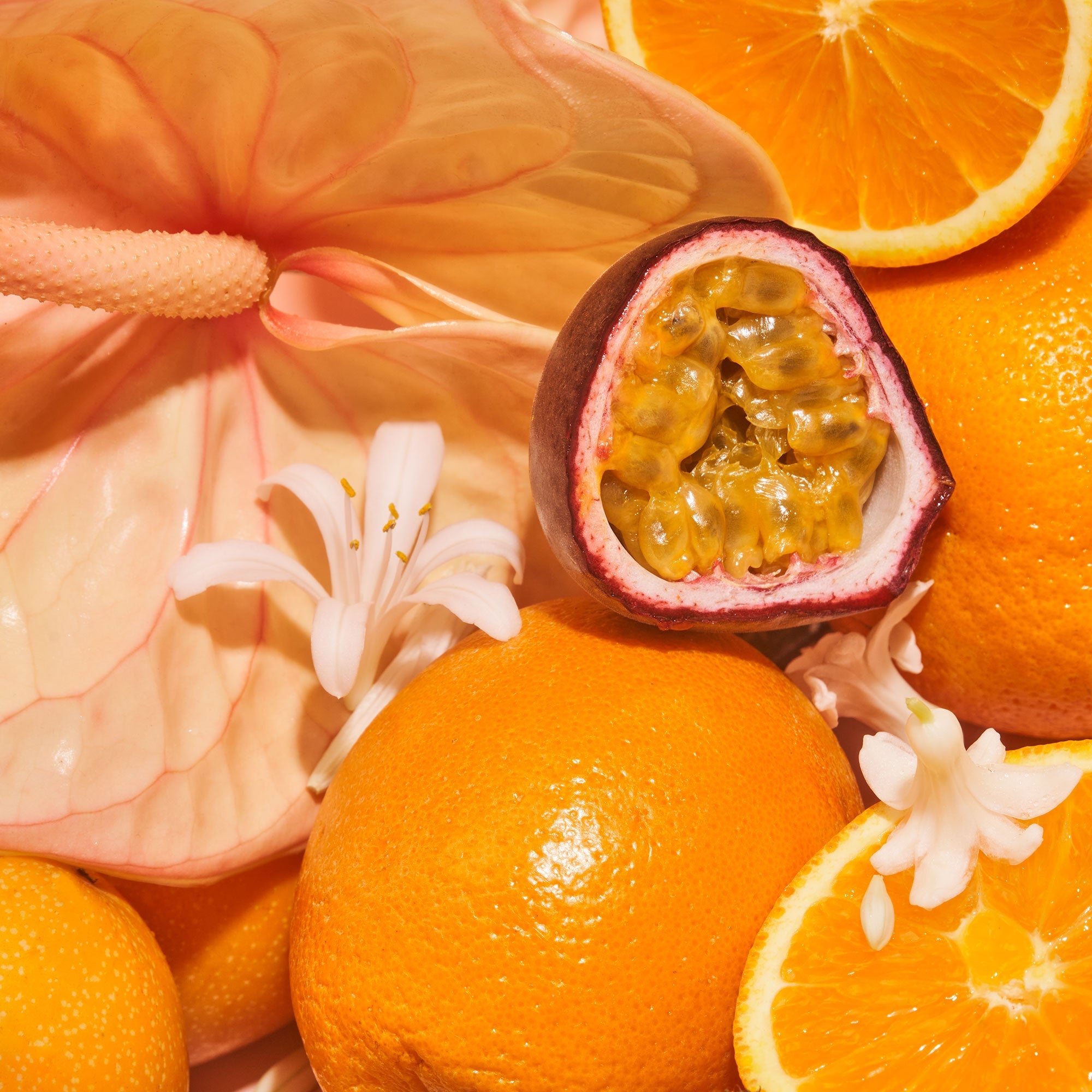 saltair Exotic Pulp - Body Oil