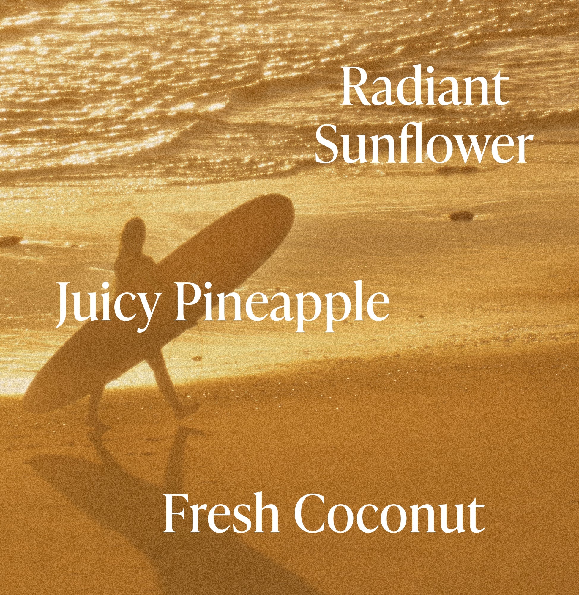Golden Hour - Jumbo Body Oil