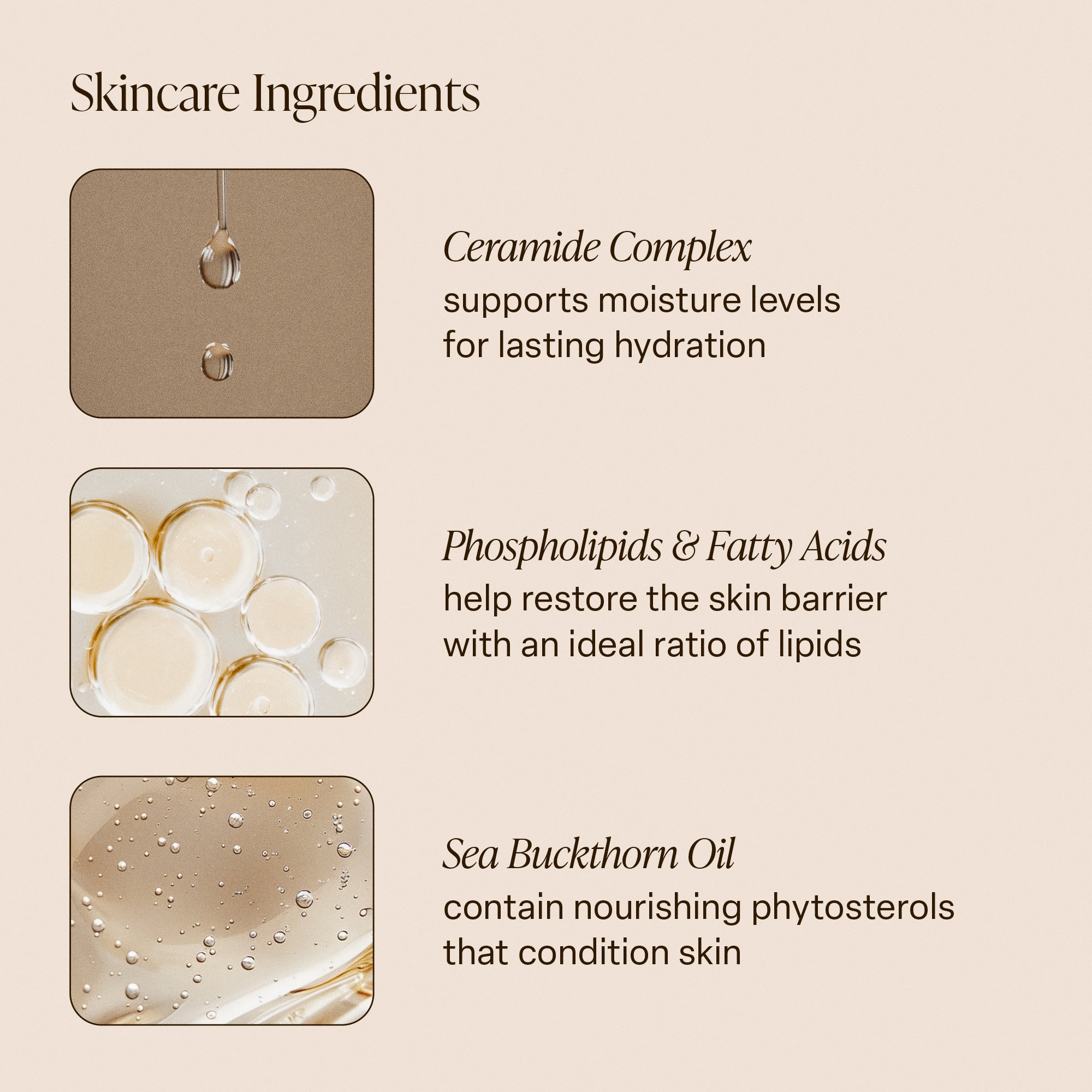 saltair Golden Hour - Body Butter
