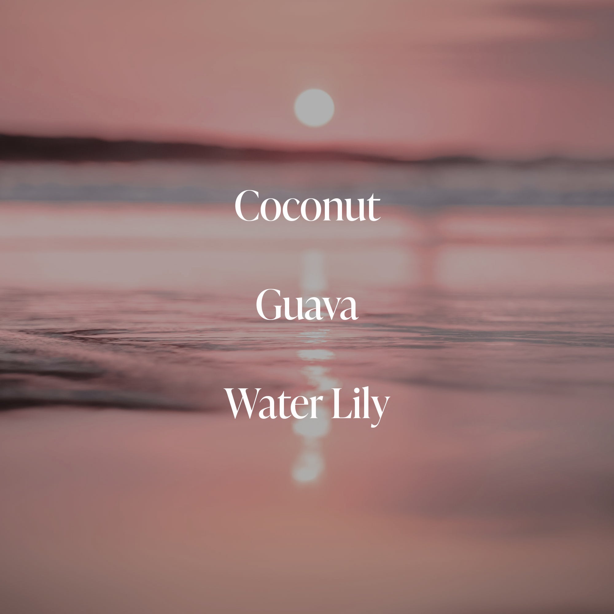 Coral Coast- Body Mist