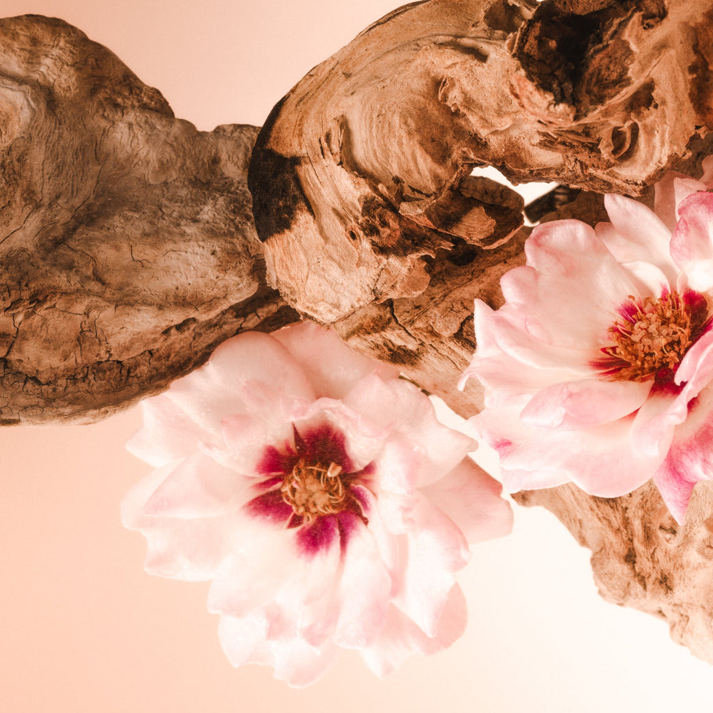 saltair Santal Bloom - Cleanse & Hydrate Bundle