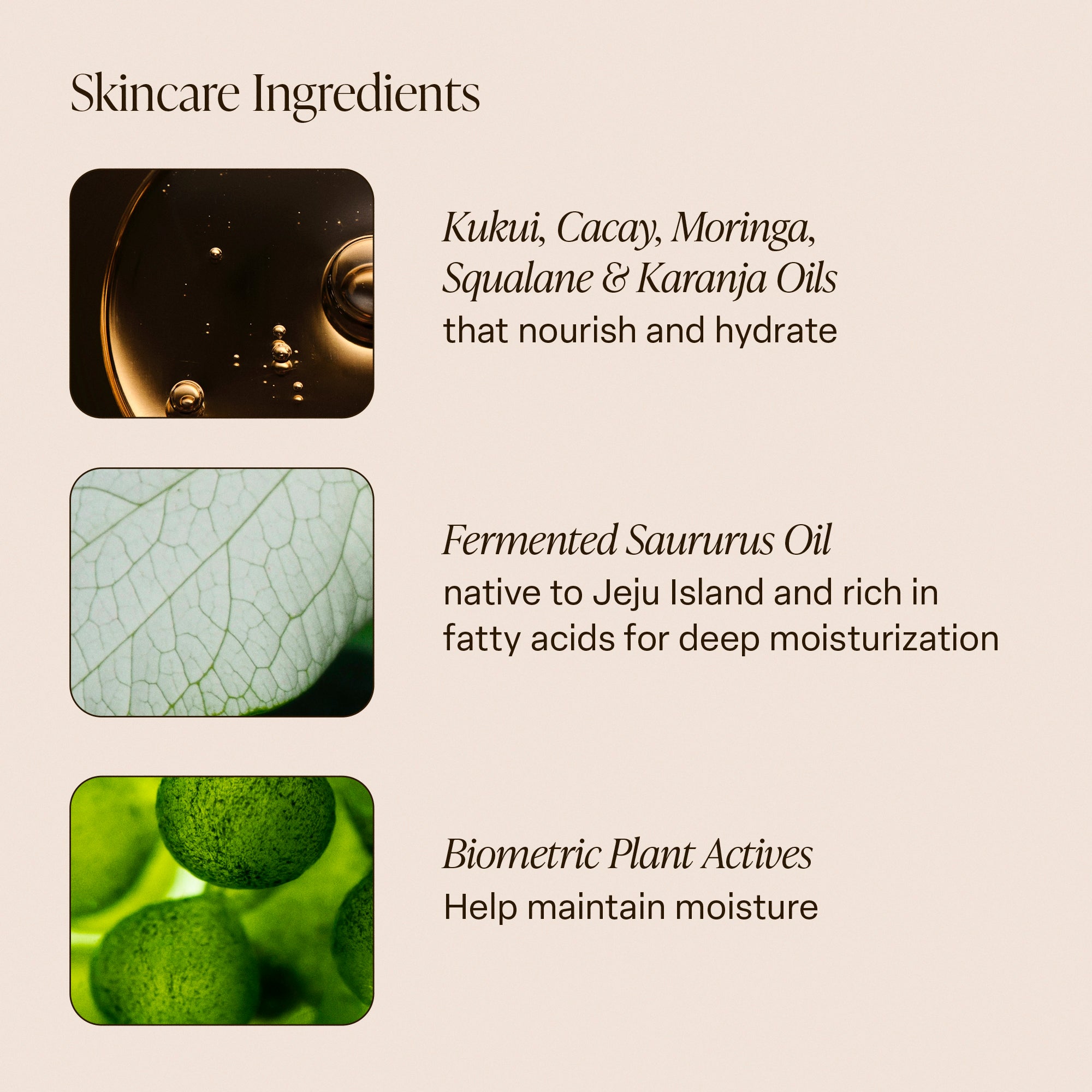 saltair Driftwood - Body Oil