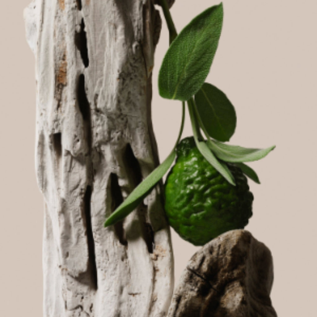 saltair Driftwood - Trio
